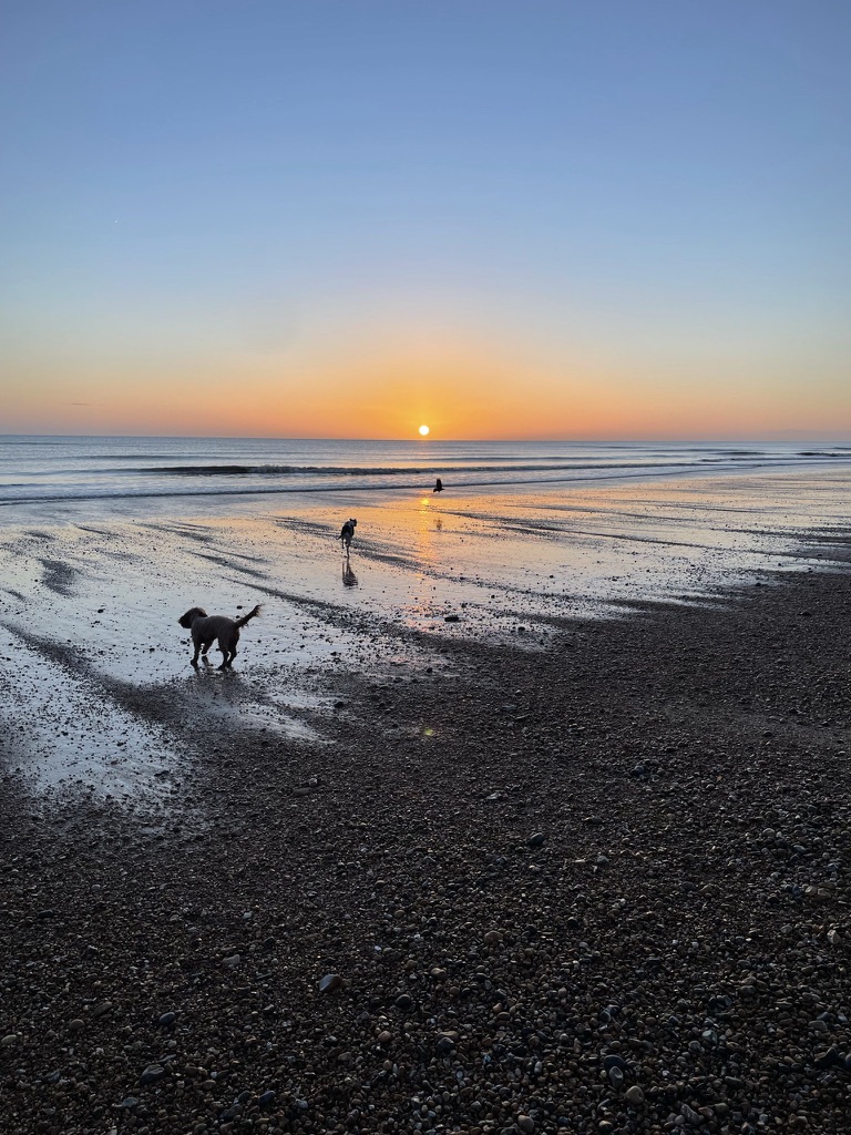 Dog Friendly stays in Kent | Dog Friendly beaches & walks in Kent