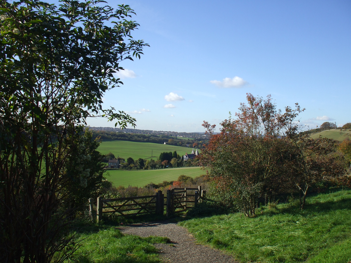 Fields, Kent Countryside