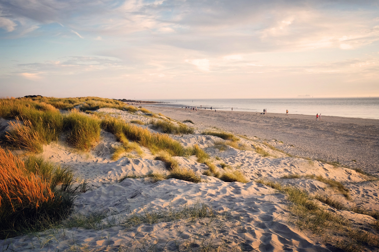 Sand dunes at East Head, West Wittering, west sussex