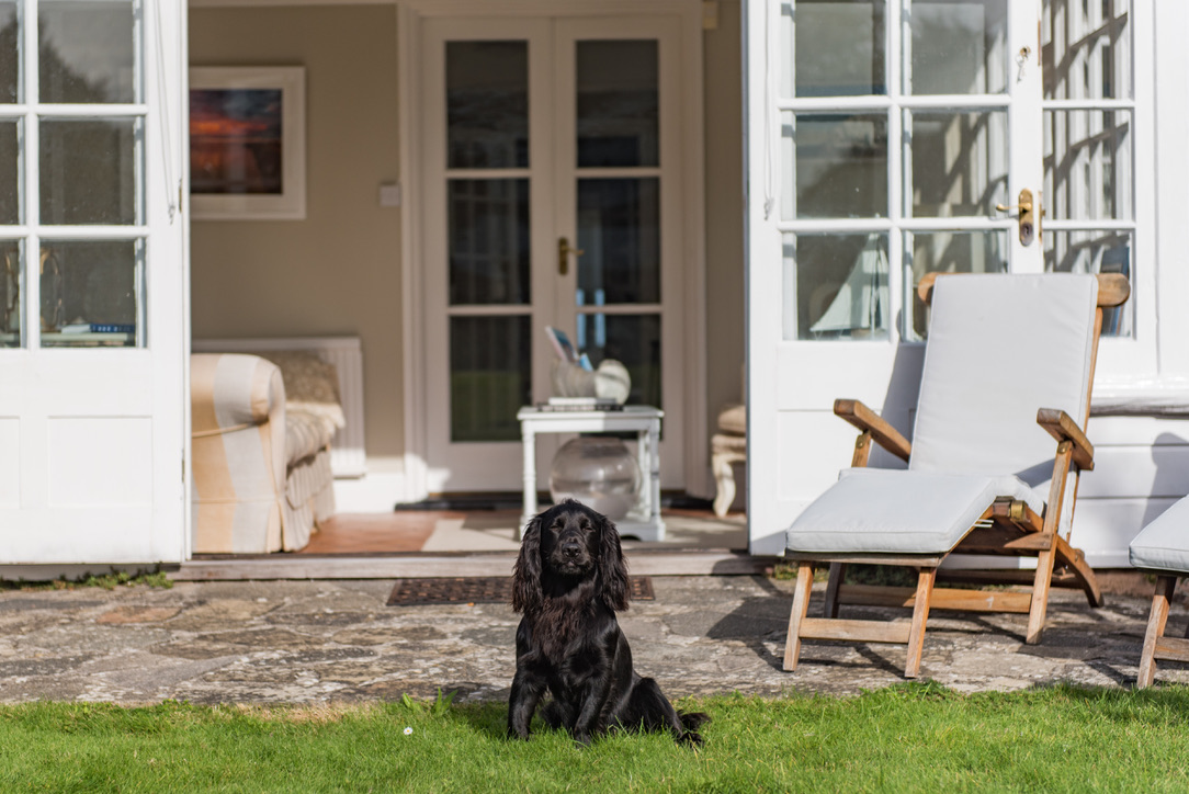 093FDCD7-98BE-497A-B137-BBED8D41D3FA_1_105_c