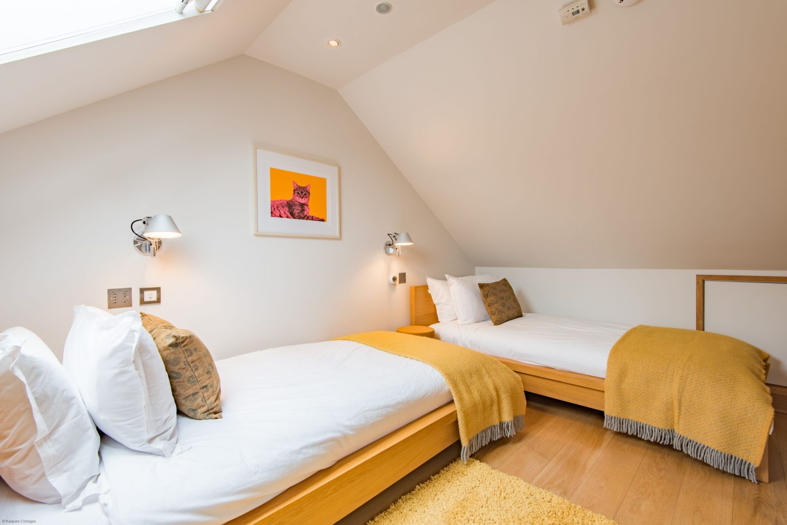 Starboard Light image