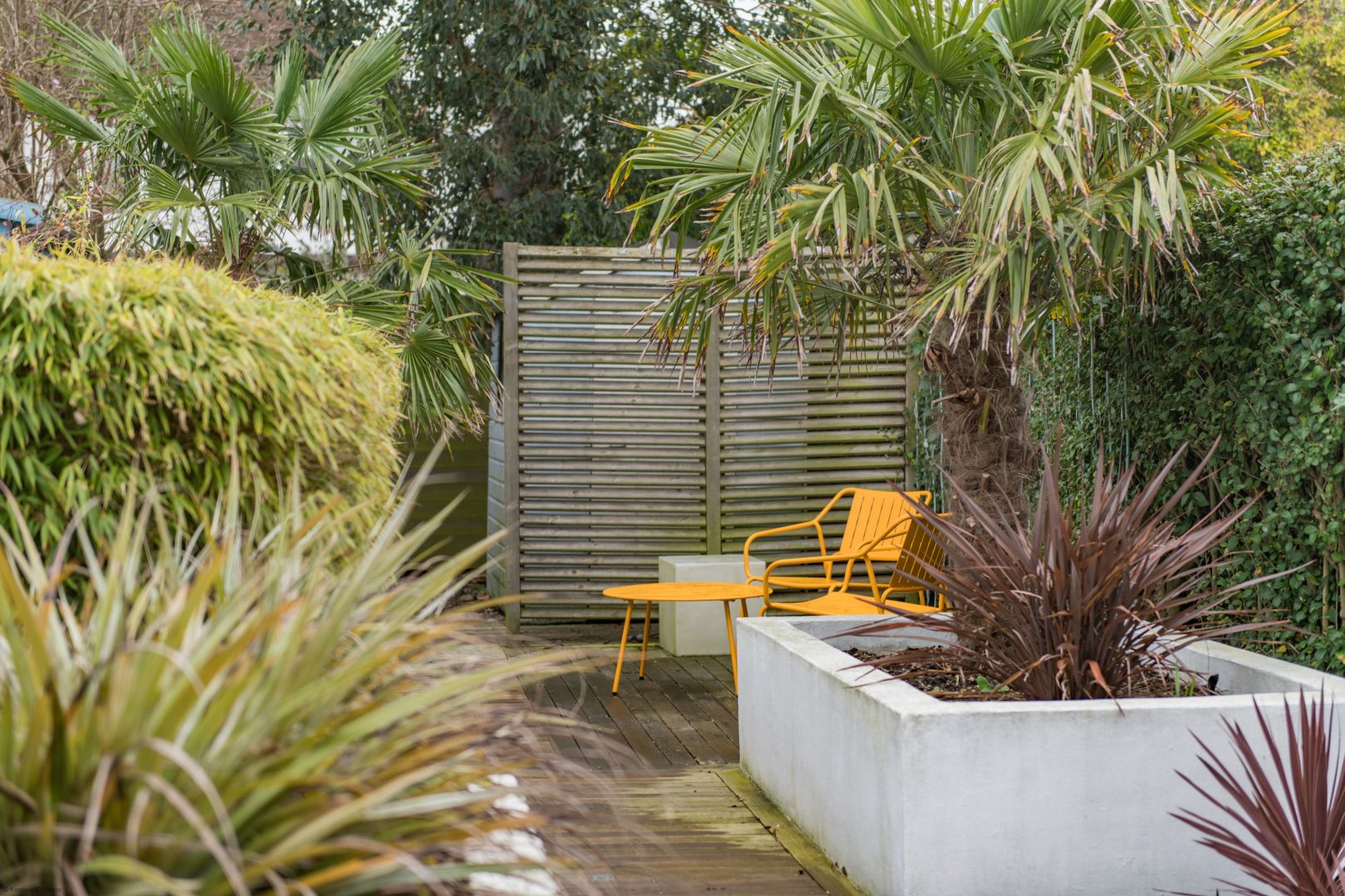 Starboard Light image