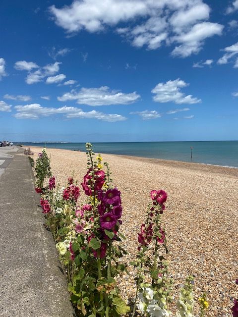 Valentine’s House image