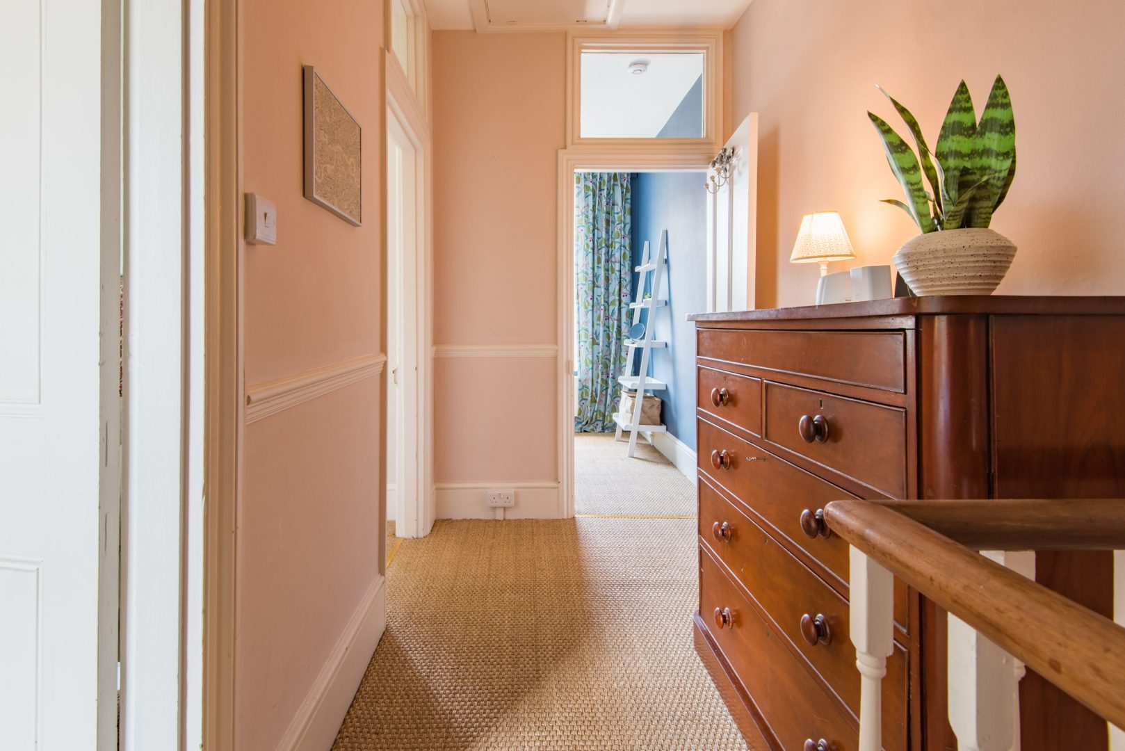 Fig Tree House image