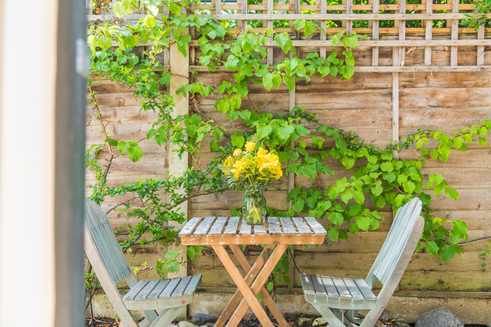 Fig Tree House image