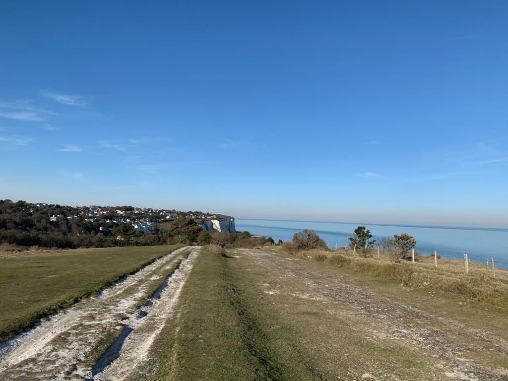 Fig Tree House image