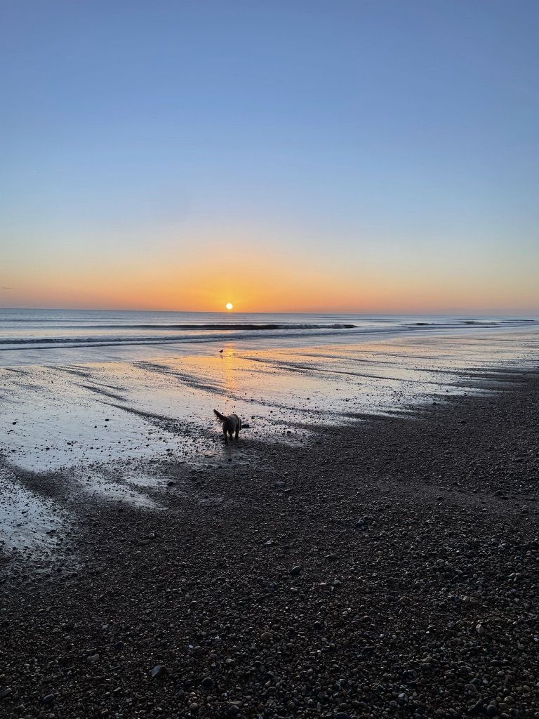 Fig Tree House image