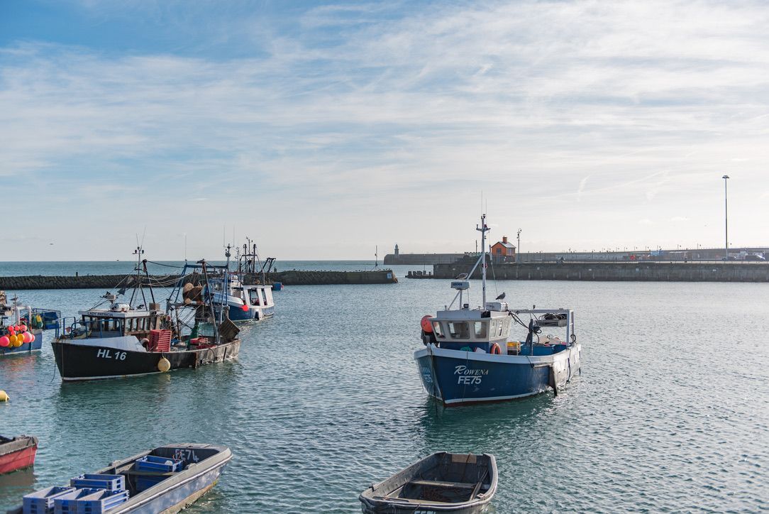 Folkestone Apartments image