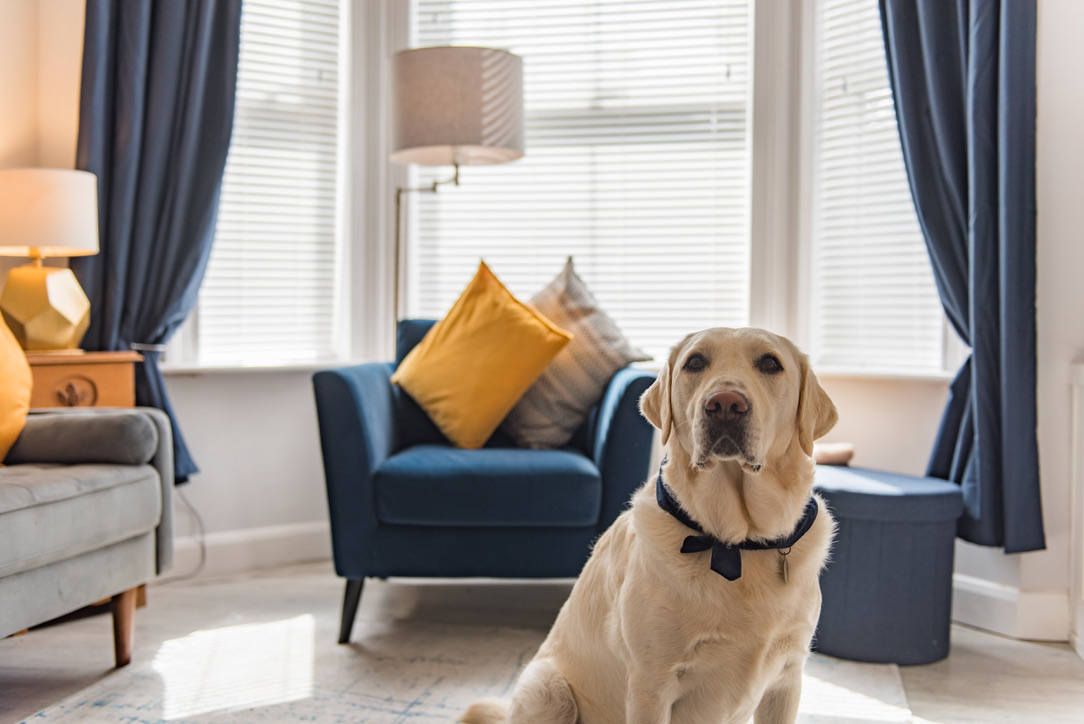 B0307F19-51F0-4572-9C20-A4271F4867C1_1_105_c