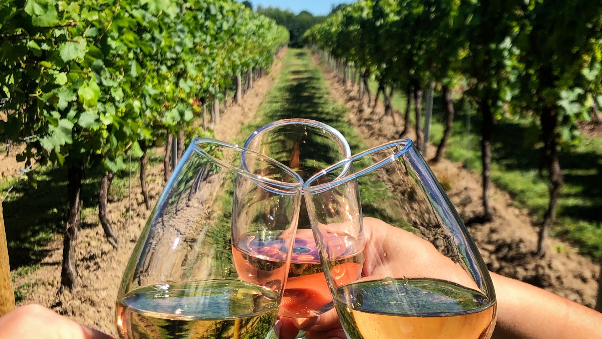 Chapel-down-group-glasses