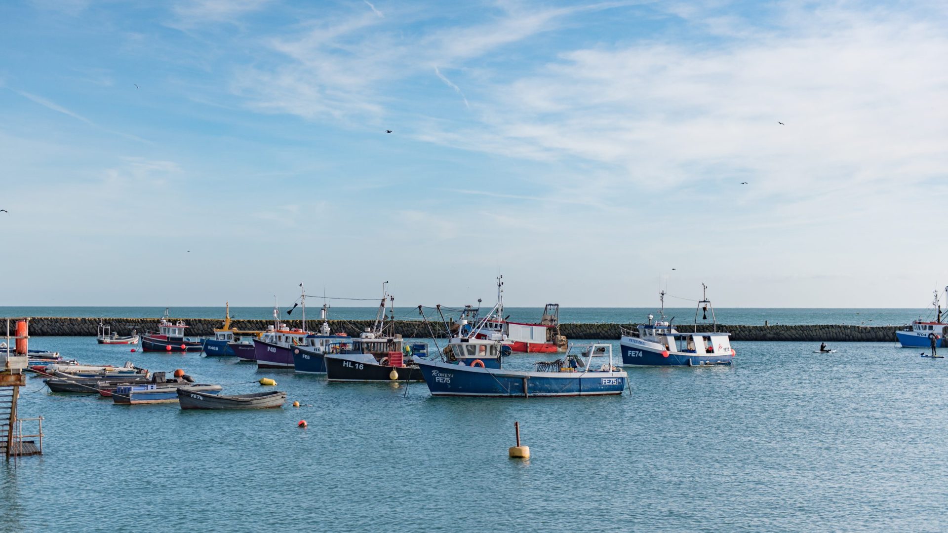 D7944F40-B8D8-4D77-84F4-13B9CFD56744-scaled