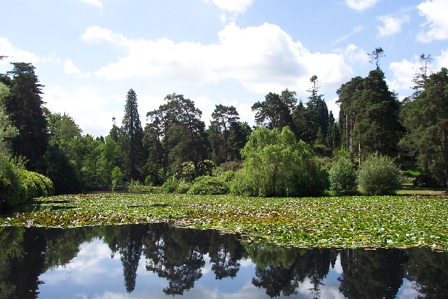 Bedgebury Pinetum