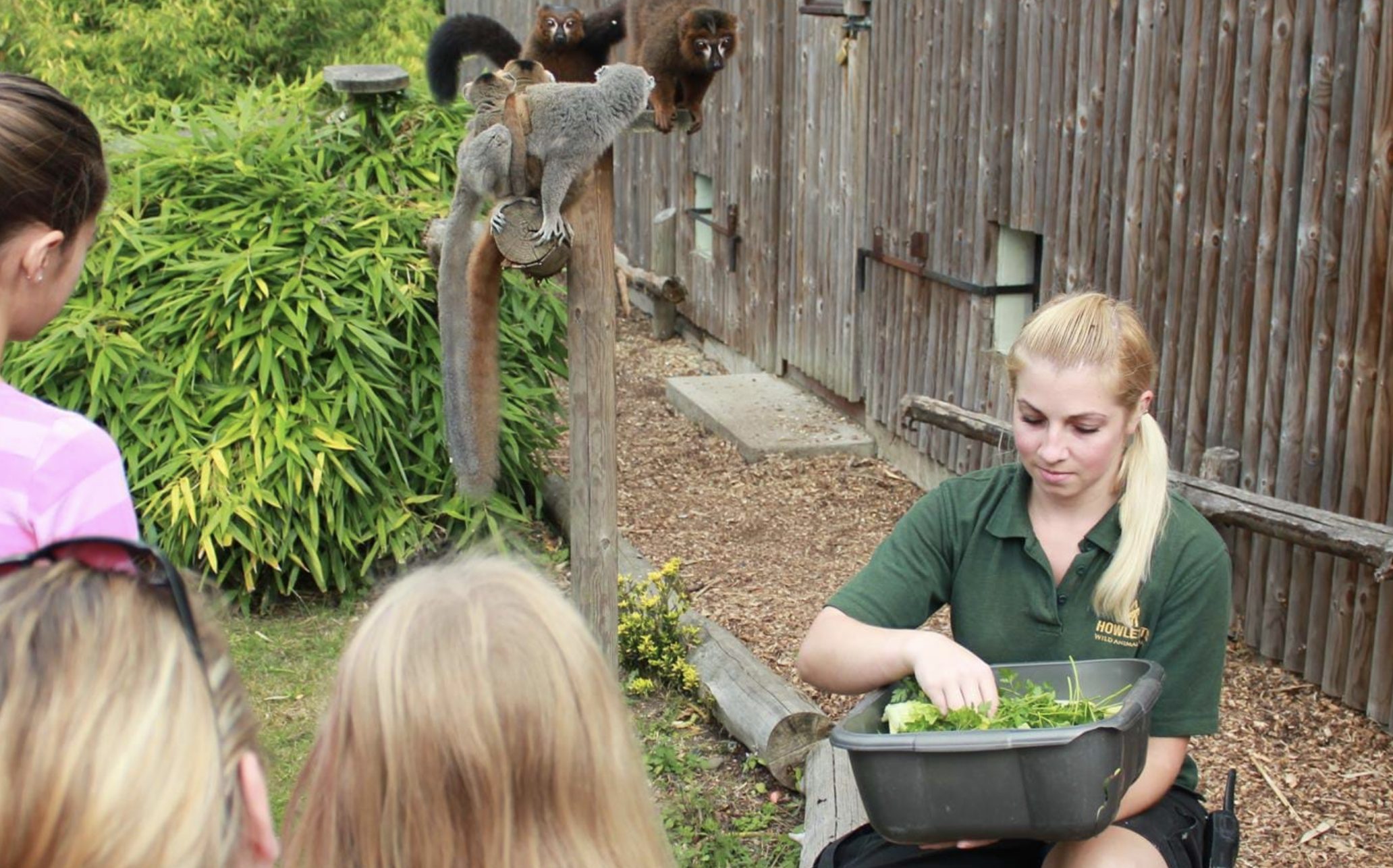 kid friendly days out in Kent