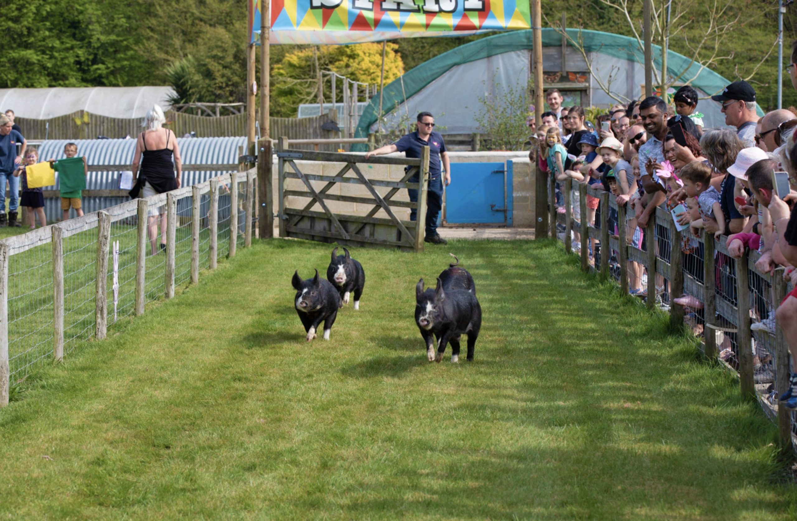 family fun in Kent for the summer holidays