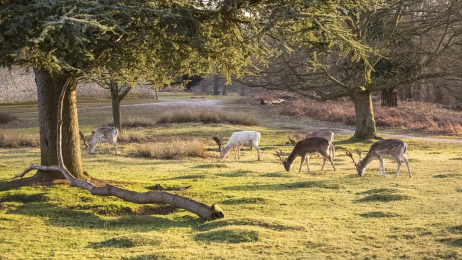 Screenshot-2025-09-04-at-13.19.55