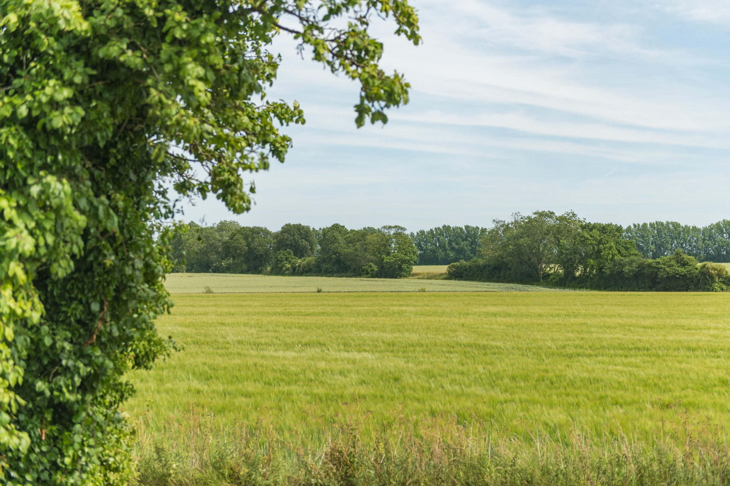 Kent Countryside Cottages | Garden of England