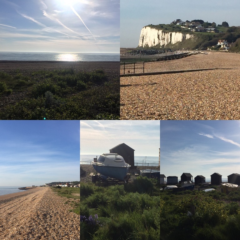 Wellington Parade collection