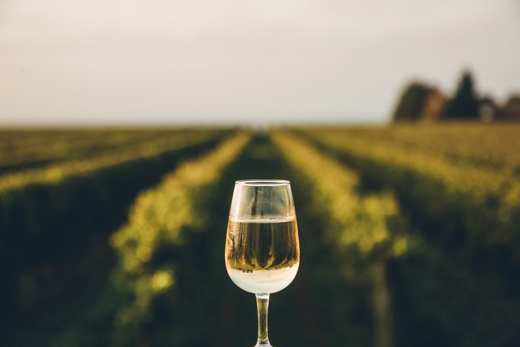 A fresh chilled glass of ice wine overlooking a vineyard during a Summer sunset