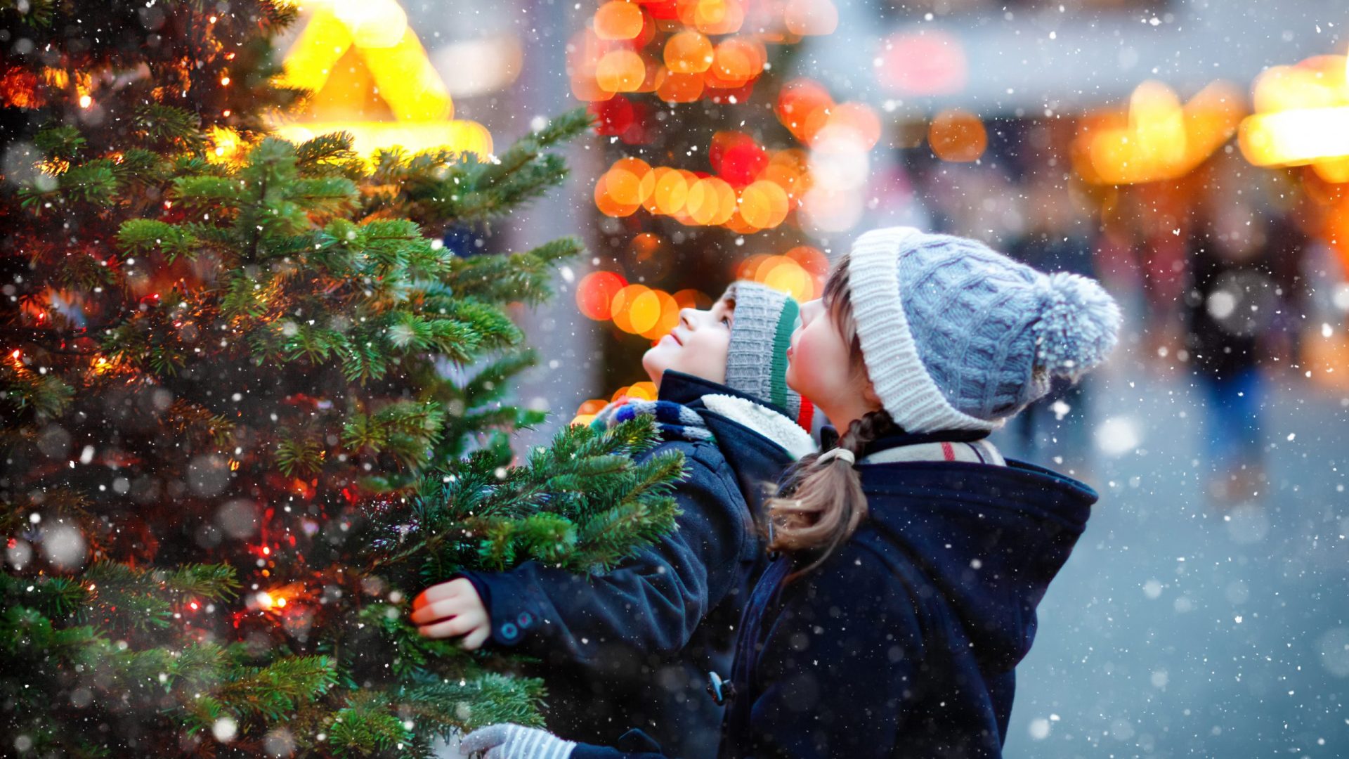 iStock-1255887607-scaled