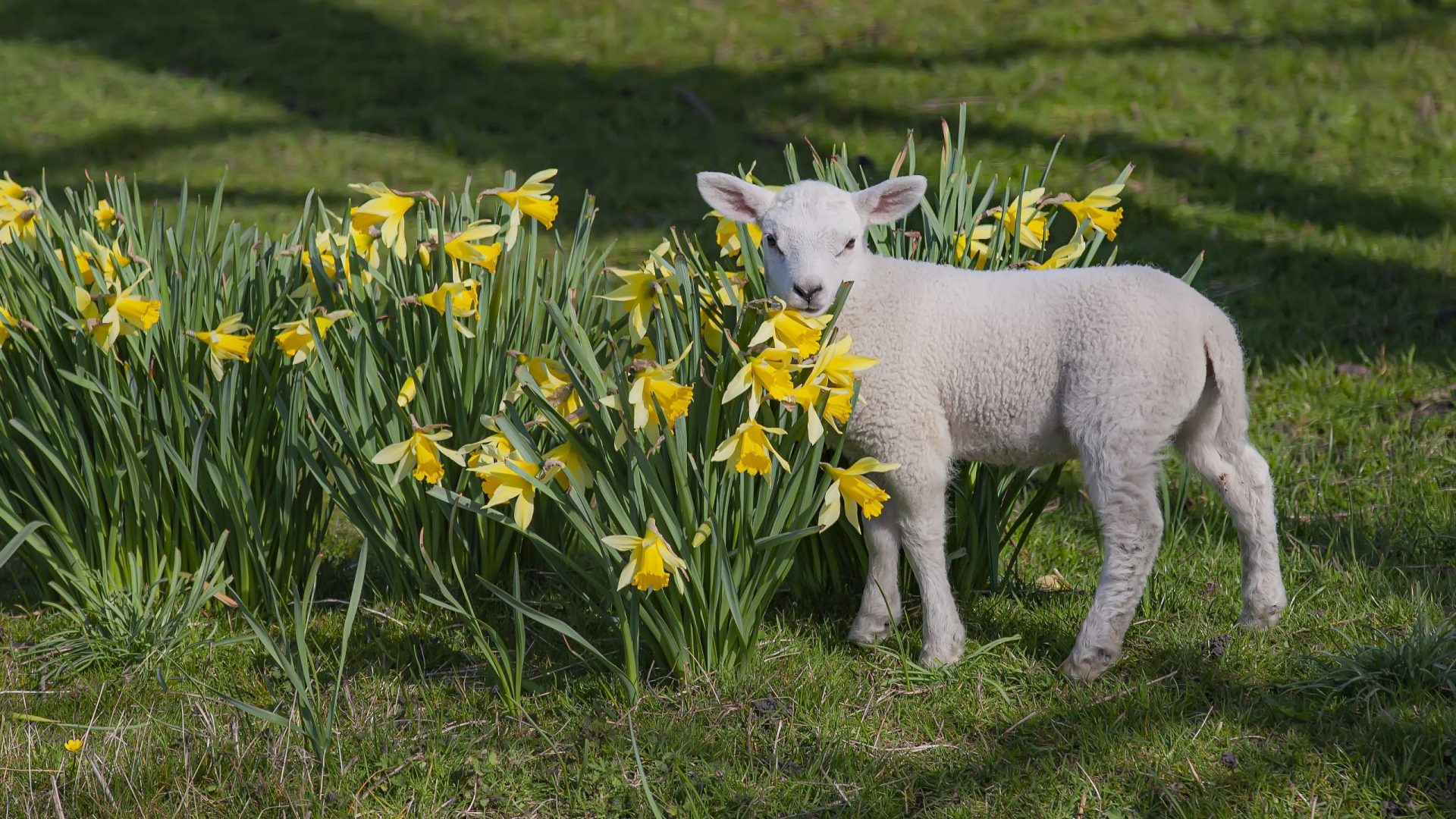 iStock-1310442340-scaled