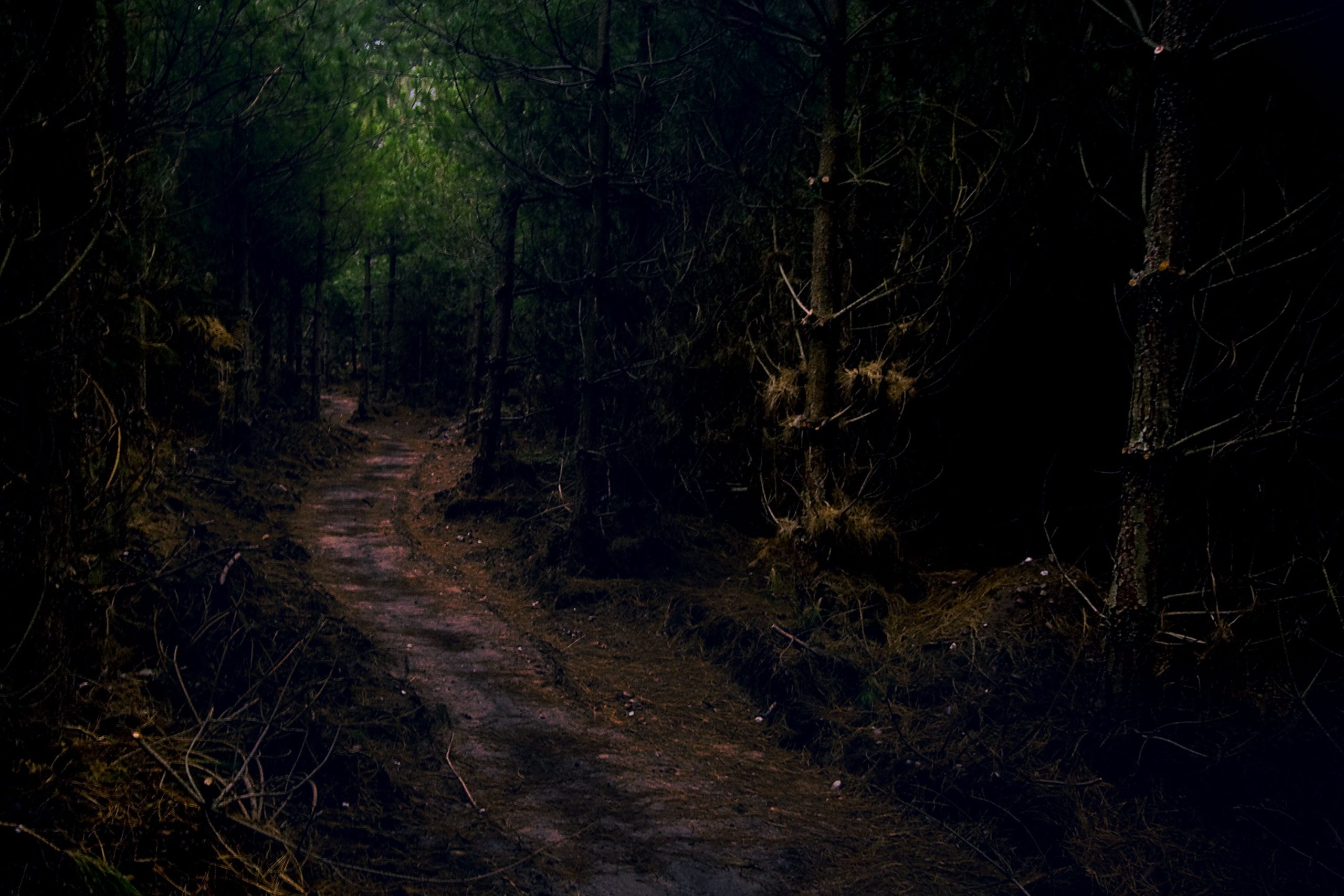 keepers-cottages-halloween-betteshanger keepers-cottages-halloween-betteshanger