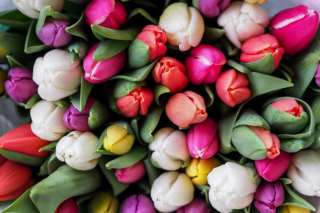 keepers-cottages-mothers-day-1