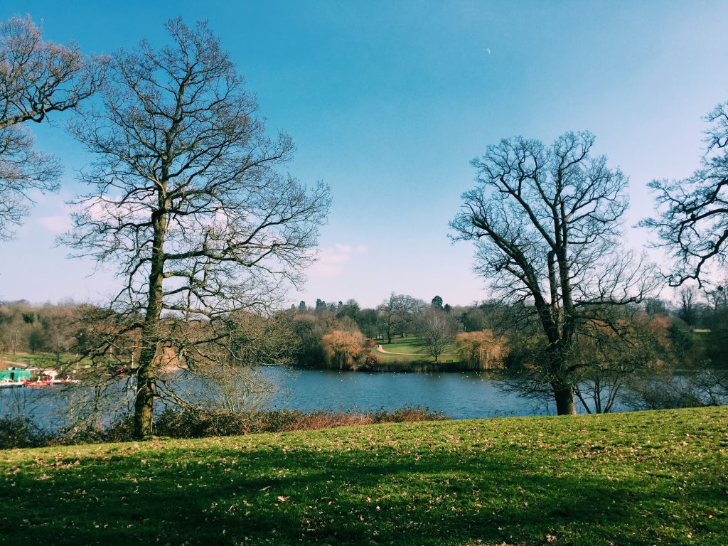 Mote Park in Maidstone, Kent | Best Walks in Kent