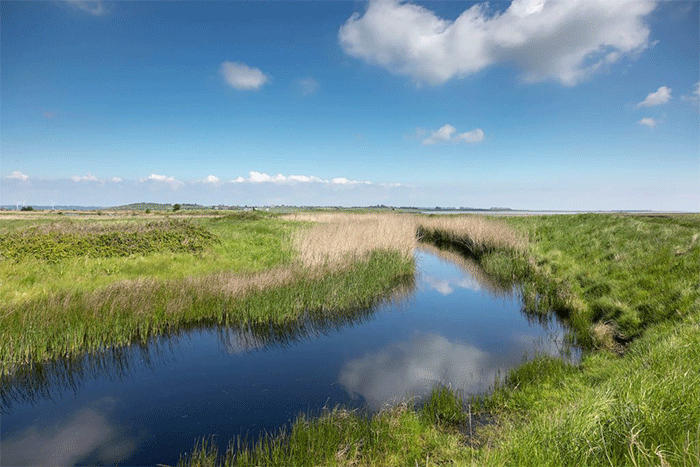Oare Marshes Nature Reserve Faversham | Nature Reserves in Kent