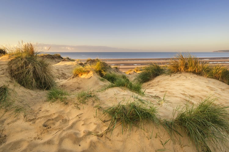 Camber Sands | Best Dog Friendly Sandy Beaches