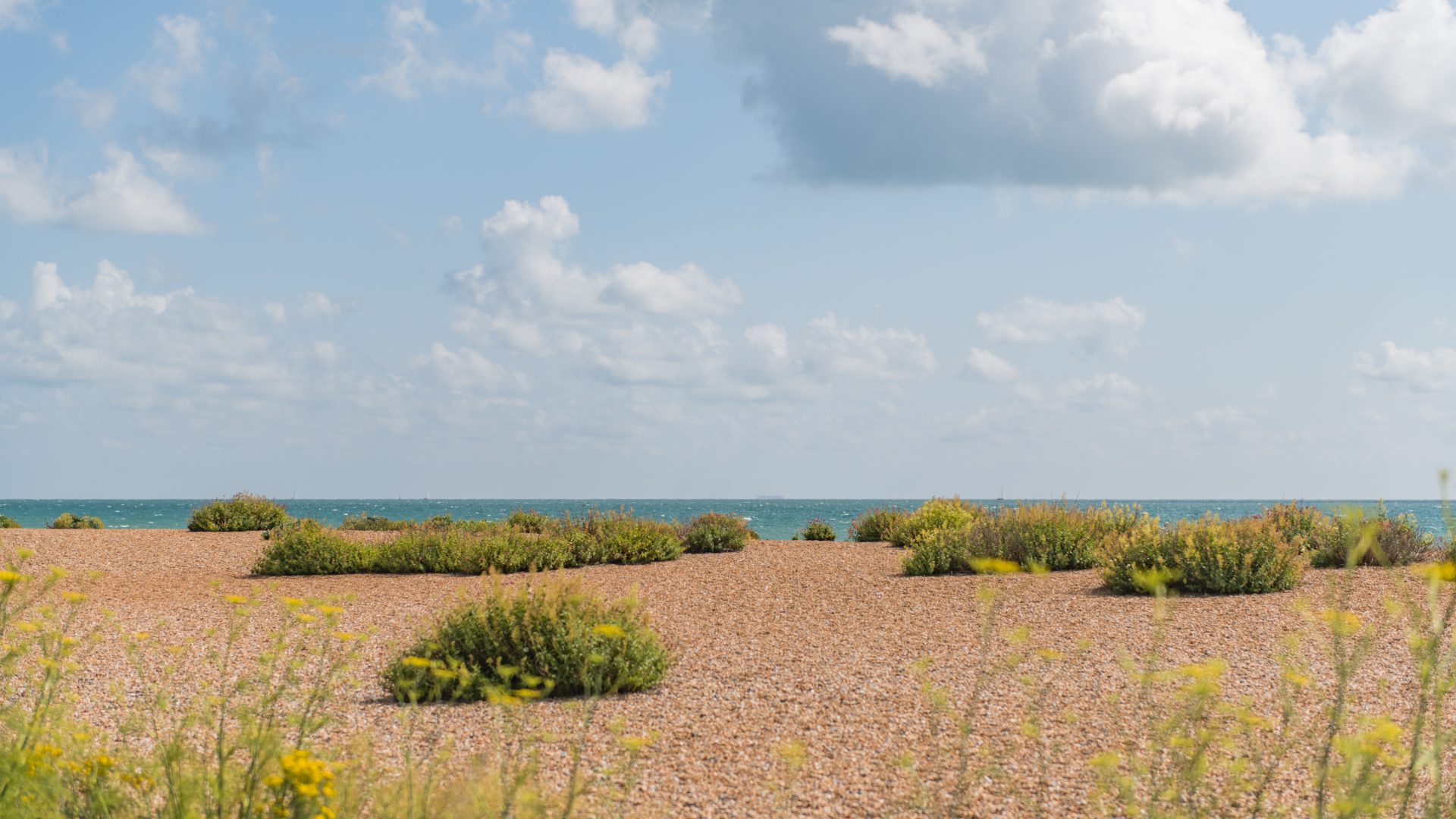 Walmer Beach, Kent | Best Beaches in Walmer