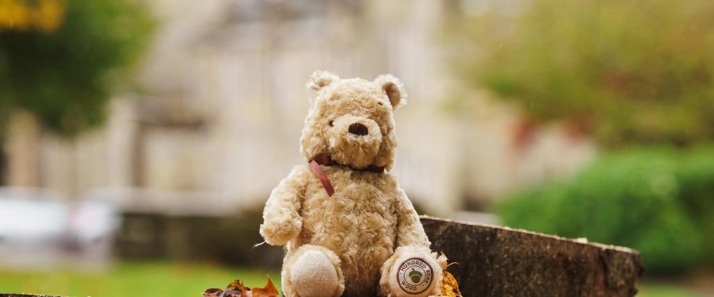 Ashdown Park | 100 years of Winnie the Pooh celebration